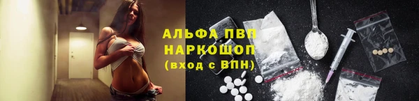сатива Михайловка