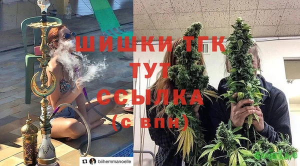 прущие крисы Михайлов