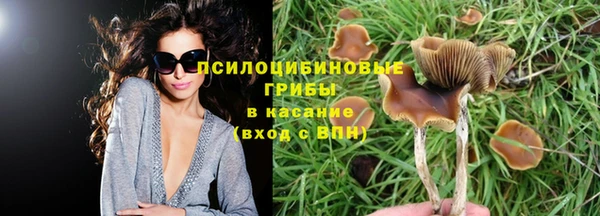 прущие крисы Михайлов