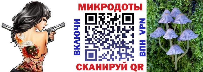 Галлюциногенные грибы мицелий  хочу наркоту  Касли 
